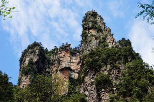 张家界旅游 本地导游电话独立成团 提供导游服务