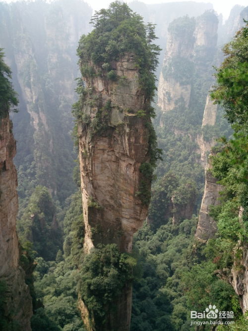 张家界纯玩不跟团找自由行导游安排看十大绝景