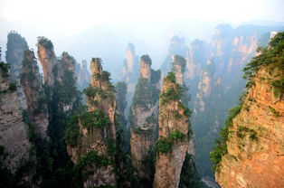 张家界锦晴旅游,提供口碑导游,纯玩 不购物