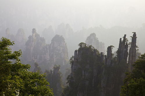 公众平台 张家界美女导游带你玩那些景点 纯玩攻略