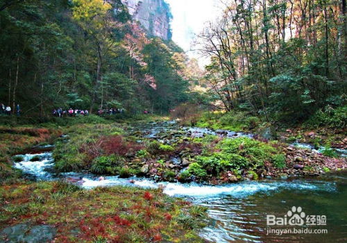 去张家界旅游找口碑 信誉好的导游