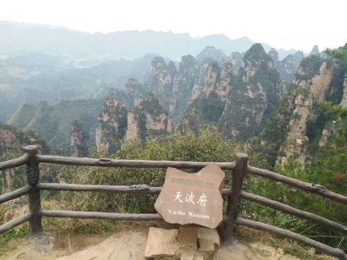 张家界导游带你一览张家界奇峰秀水,值得拥有的美女导游