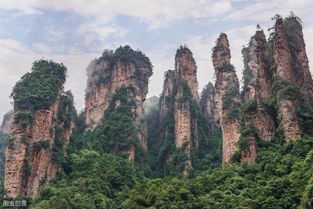 去张家界旅游有提供全程包车加私人导游陪同讲解一体的服务吗