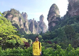 暑假游张家界亲子路线,张家界 天门山 猛洞河漂流激情4日游