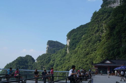张家界旅行攻略 附超嗨徒步线路 大劫难解救大法