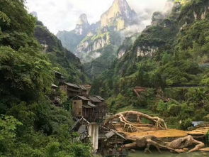 张家界当地口碑导游多少钱一天,可以定制纯玩路线吗