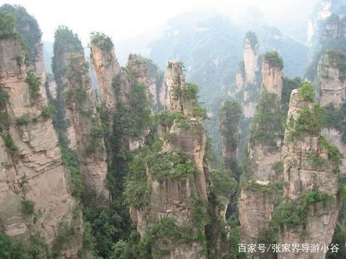 张家界旅游攻略 张家界导游小谷