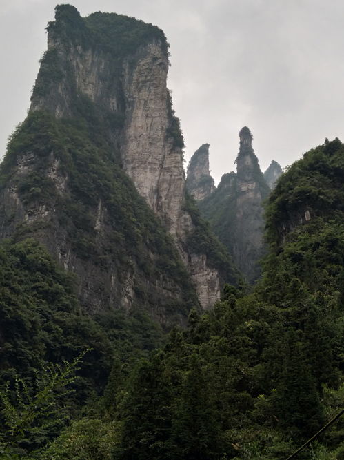 张家界自由行线路,请问美女导游服务费多少钱一天