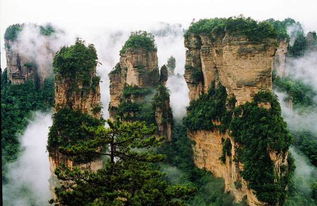 来到张家界旅游如何注意张家界导游及旅游事项