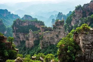 张家界当地参团,优秀资深导游服务,保障更安全