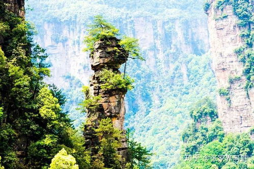 张家界当地导游推荐四日游,不错过任何一个精华景点