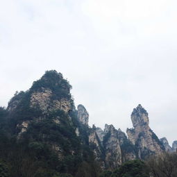 来张家界找个自助游导游带我们玩