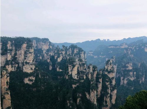 张家界自助游请导游,安排住宿,门票等省钱方式