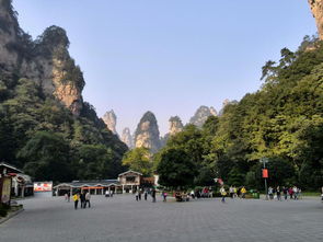 来张家界旅游找当地口碑导游,只要纯玩的线路