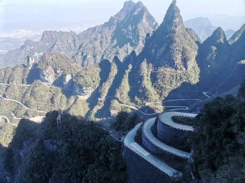 计划去张家界旅游,想找一个靠谱的张家界本地导游或当地向导带我们玩,有吗