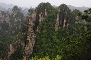 张家界纯玩团 品质团 独立成团 自由行导游推荐