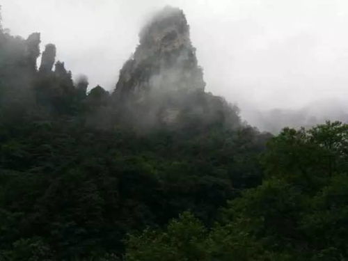张家界旅游分享