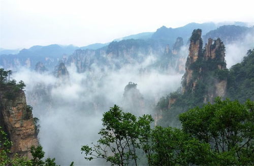 张家界本地导游让我少花钱,张家界自助游自驾游