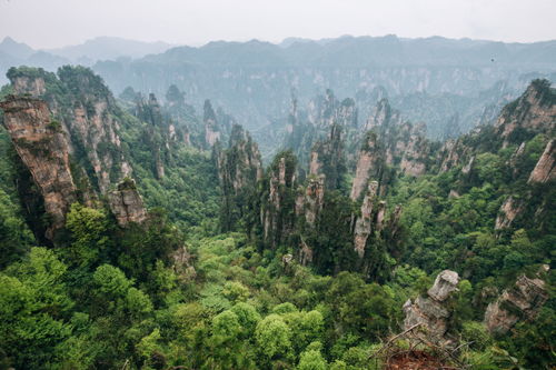张家界旅游一般玩几天,张家界自由行导游推荐线路攻略