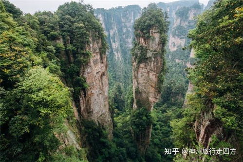 张家界旅游地陪导游,张家界地接导游,私人高端可靠导游,张家界正规导游,一对一导游服务