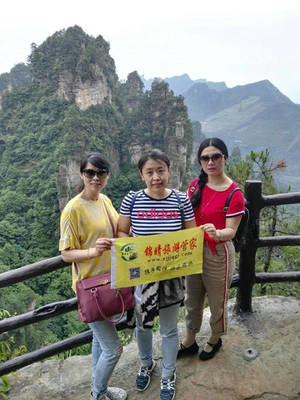 张家界导游提醒游客,旅游就找诚信导游服务