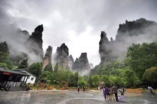 张家界景区雨后的美景,让您惊叹不已,张家界导游
