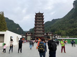 张家界旅游可以自己玩吗 有必要找导游
