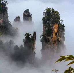 到张家界旅游,单请导游多少钱一天