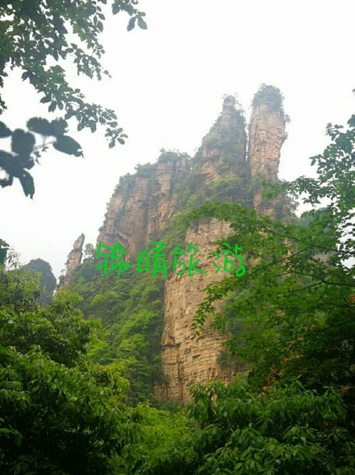 去张家界旅游,有行李怎么办呢 车停哪儿方便