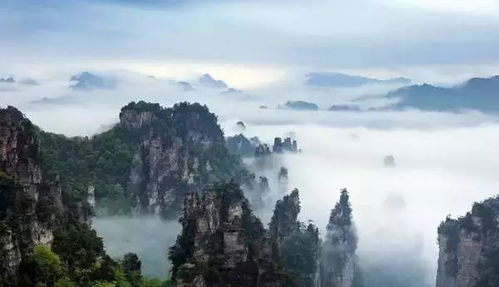 想找个张家界导游,不知道怎么联系