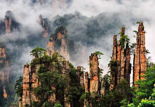 去张家界旅游选择陈峰自助游俱乐部的好处