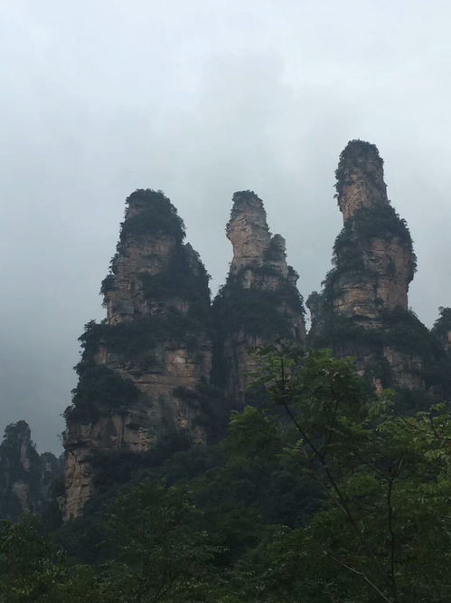 张家界导游给游客推荐纯玩攻略,享受快乐旅行