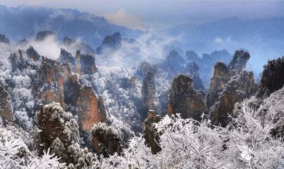 冬季张家界很美,核心景区对未成年人免票!