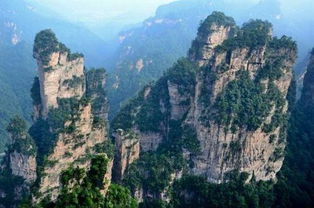 张家界旅游可以自己玩吗 不跟团不请导游可以吗 选择自助游轻松纯玩省事