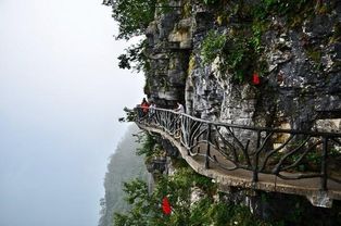 张家界怎么玩最好 花最少钱,看醉美风景