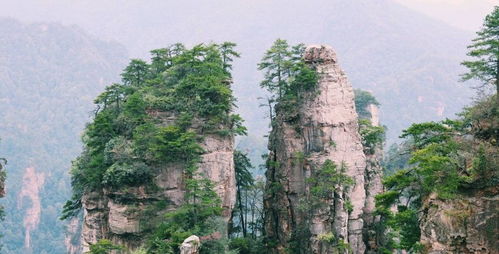 张家界自助游导游 凤凰古城四日经典攻略