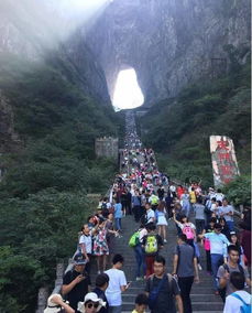 春节去张家界旅游 如何选择口碑好的导游，给家人最放心的旅行体验