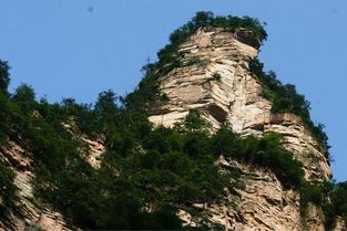 张家界导游服务指南 费用解析与选择建议