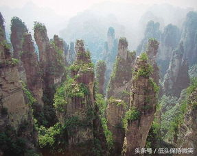 自驾游张家界，山川画卷随心启程——超全路线与导游指路