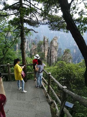 张家界纯玩导游，让说走就走的自由行真正随心所欲